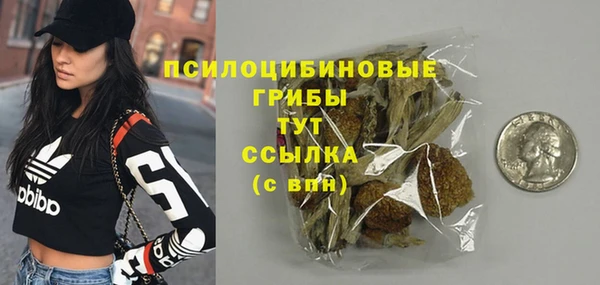 герыч Елабуга