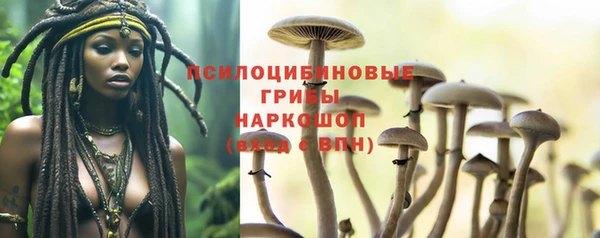 гидропоника Краснотурьинск