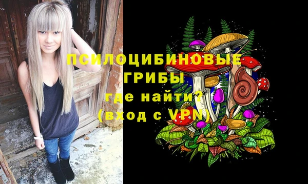 герыч Елабуга