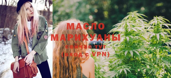 МДПВ Ельня