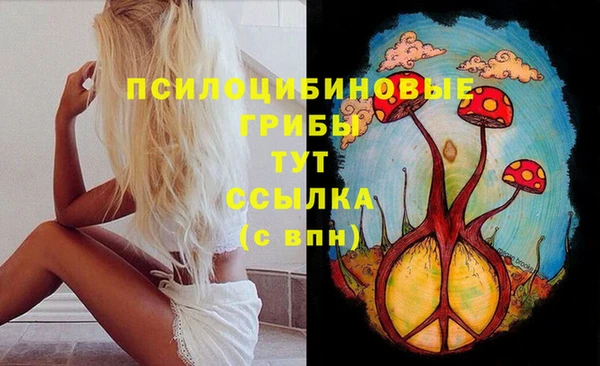 МДПВ Ельня