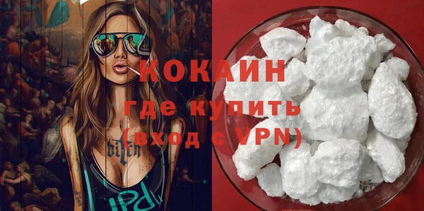 МДПВ Ельня