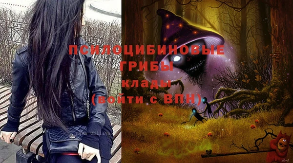 герыч Елабуга