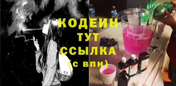 стаф Корсаков