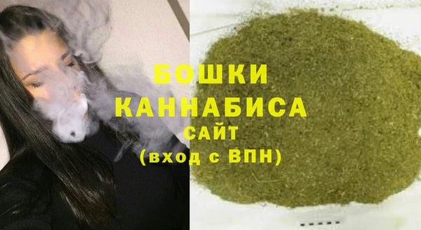 МДПВ Ельня