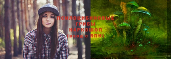 МДПВ Ельня