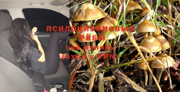 МДПВ Ельня
