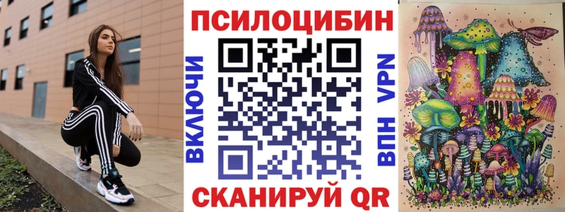 Псилоцибиновые грибы мицелий  Ессентукская 