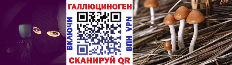 Псилоцибиновые грибы GOLDEN TEACHER Ессентукская